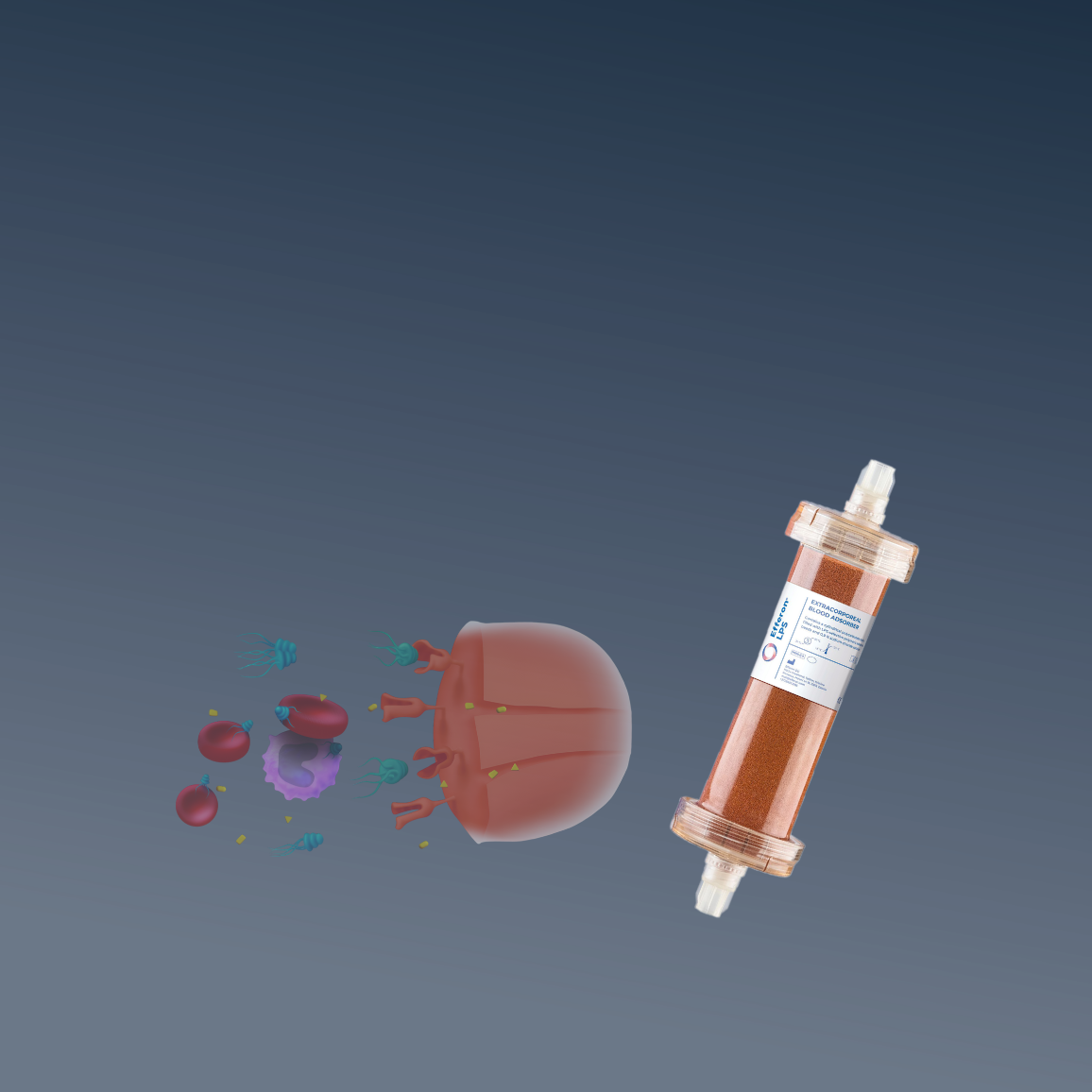 3 Test Efferon Slider Mobile (1156 X 1156 Px)