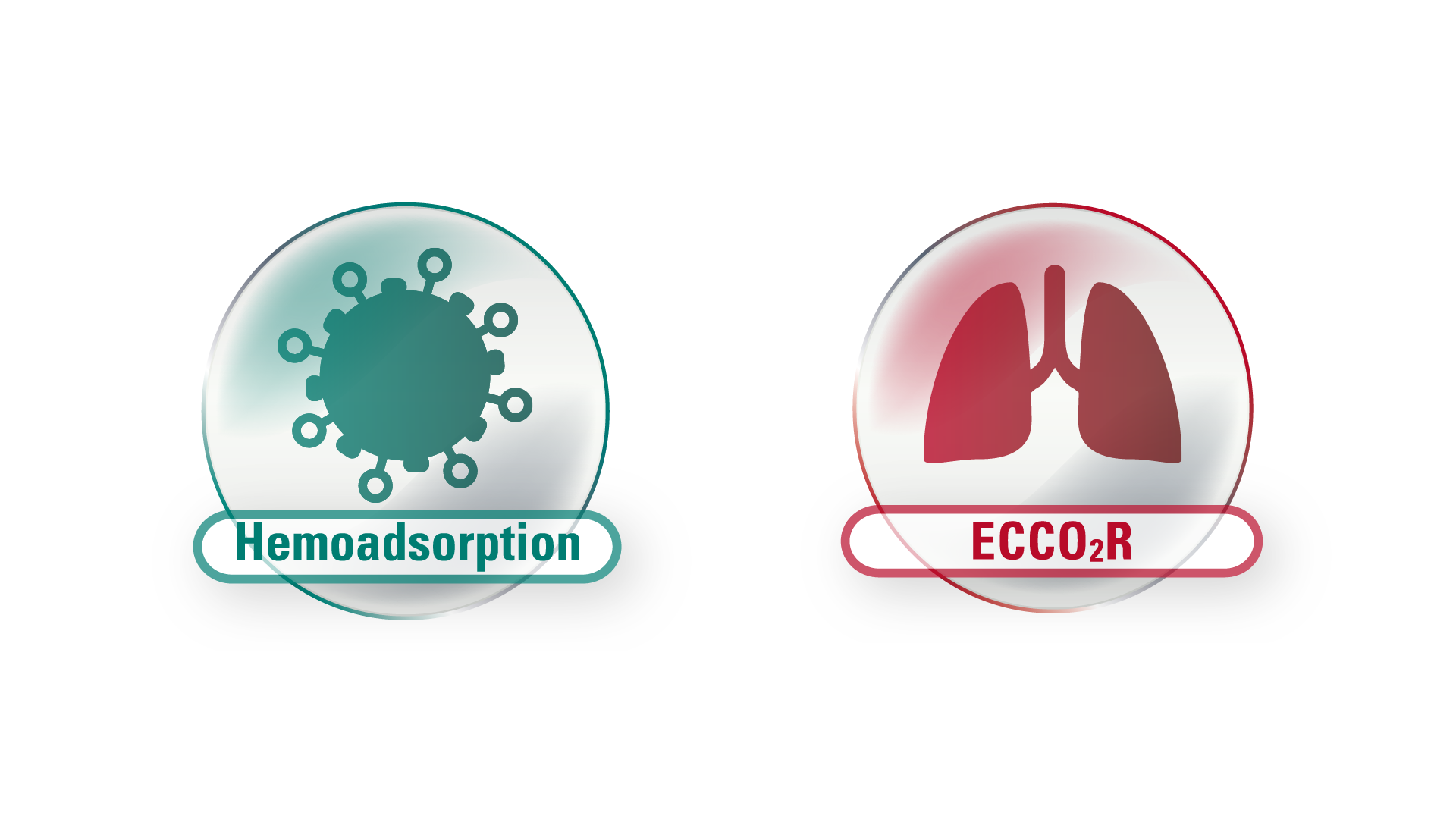 Icon ECCO2R Hemoadsorption White Background