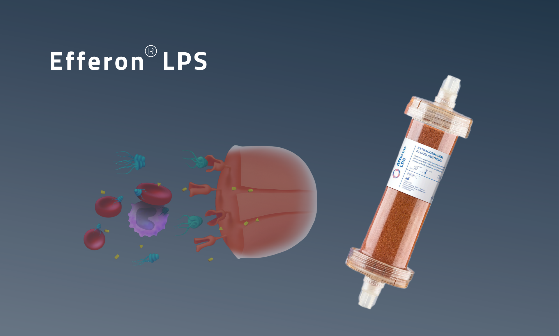 Test Efferon Product Page (1920 X 1156)(2)